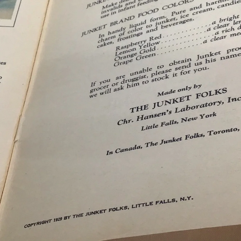 Antique 1923 Junket brand recipe booklet